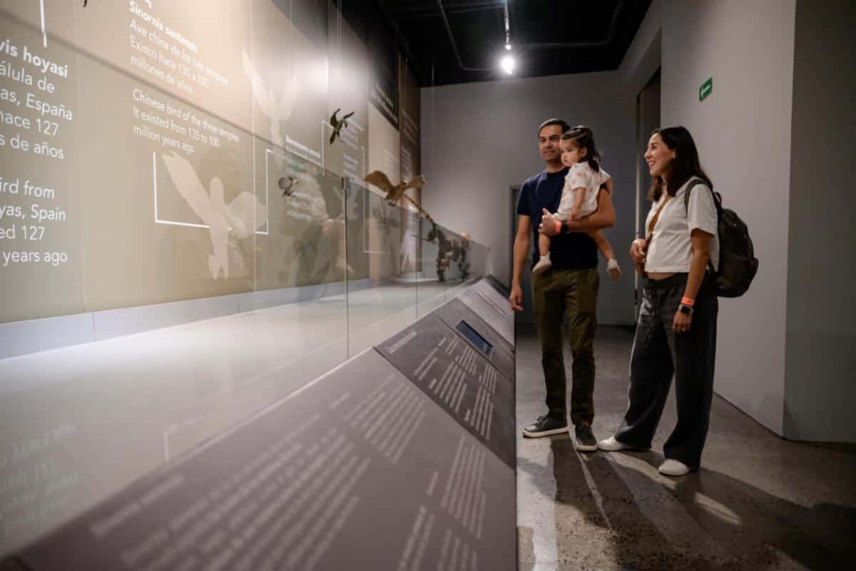 Saltillo promueve su riqueza cultural a trav&eacute;s de museos y actividades familiares