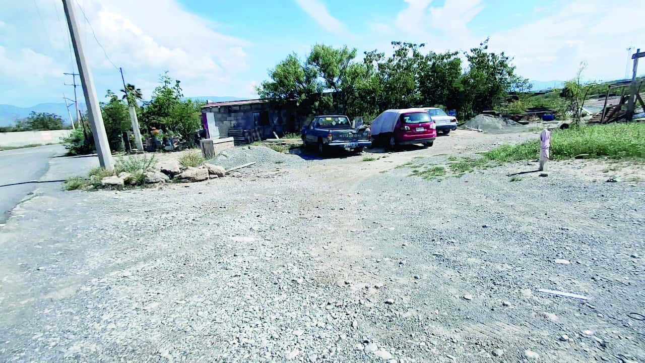 Alerta por rickettsia en pulgas y garrapatas en Colinas de Santiago