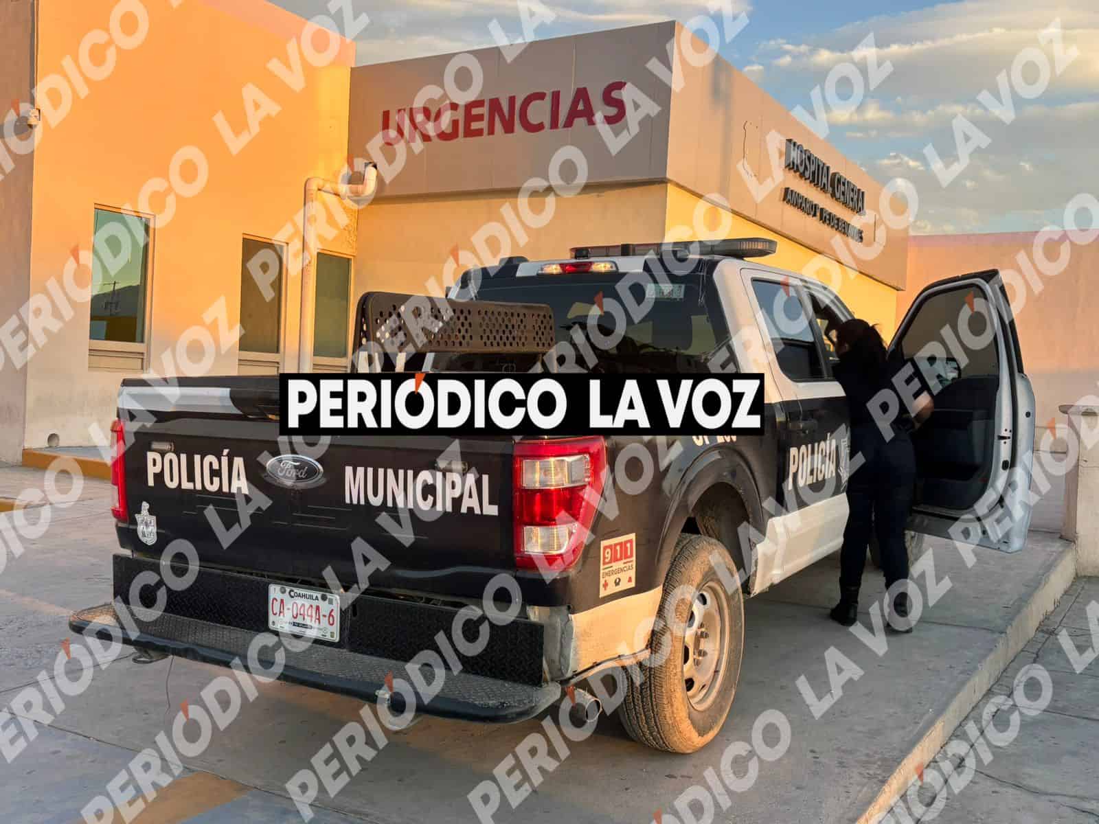 Pitbull hiere gravemente a peque&ntilde;a