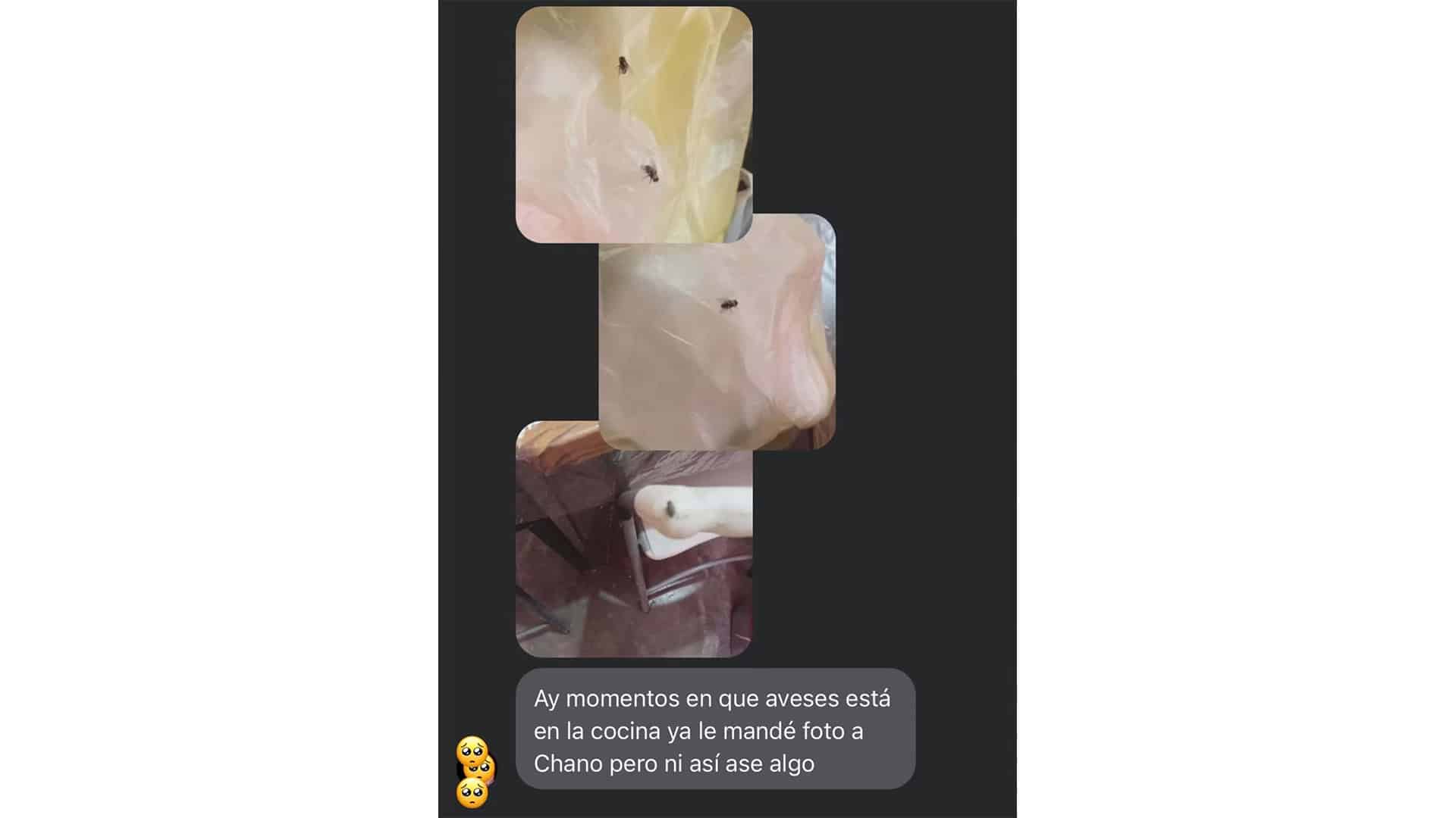 Proliferaci&oacute;n de moscas en Villa de Agujita amenaza salud de vecinos