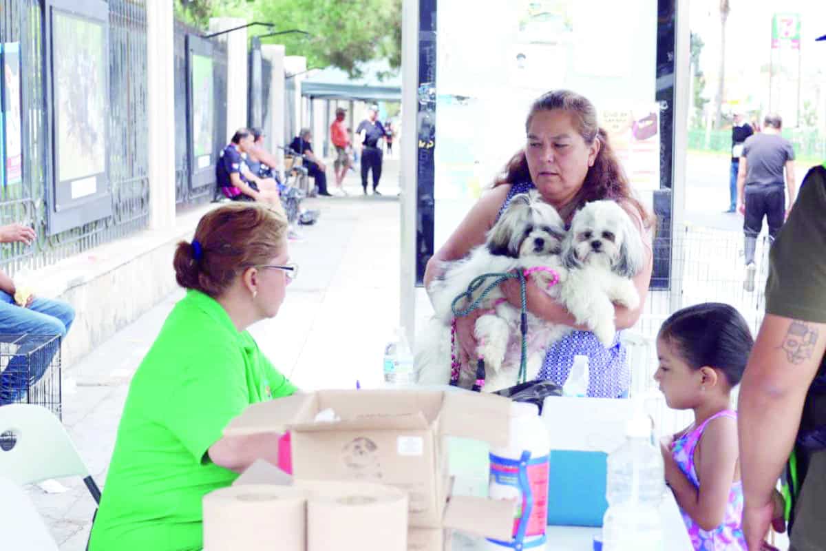 Actividades familiares y salud p&uacute;blica en la Ruta Recreativa de Saltillo