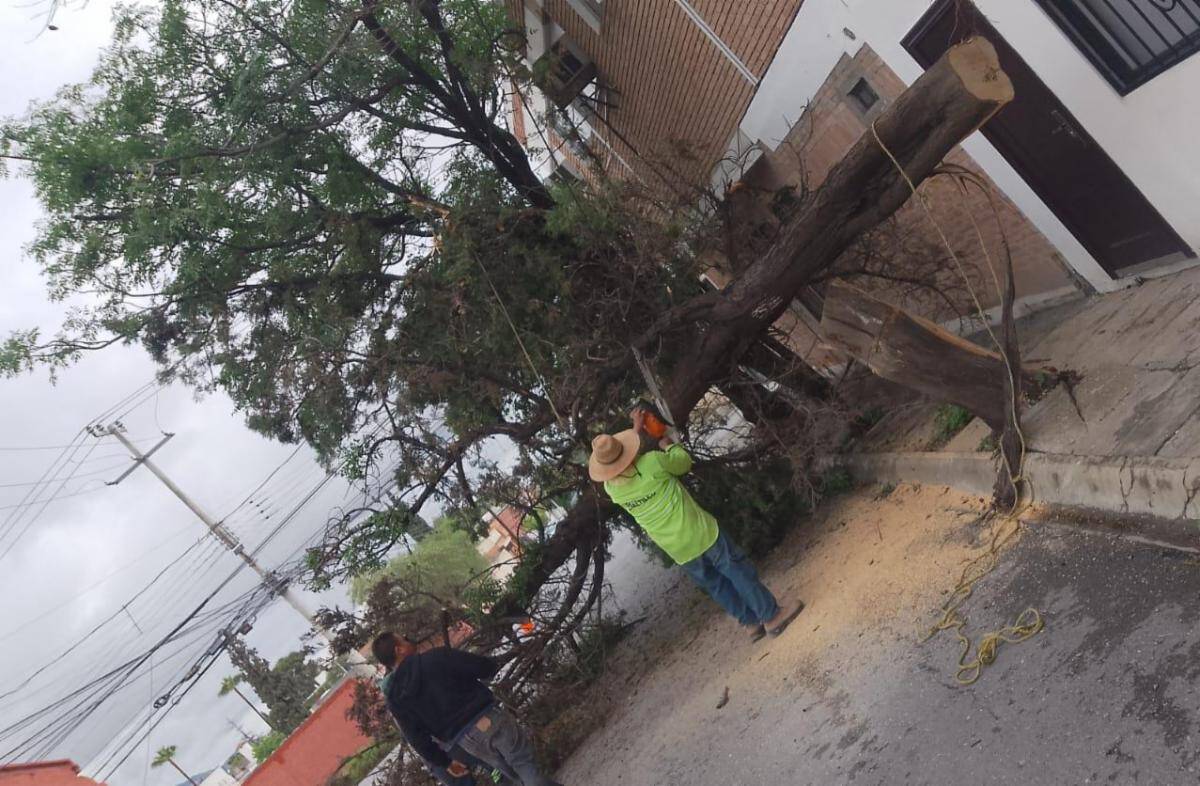 Saltillo responde a lluvias coordinando limpieza y desazolve