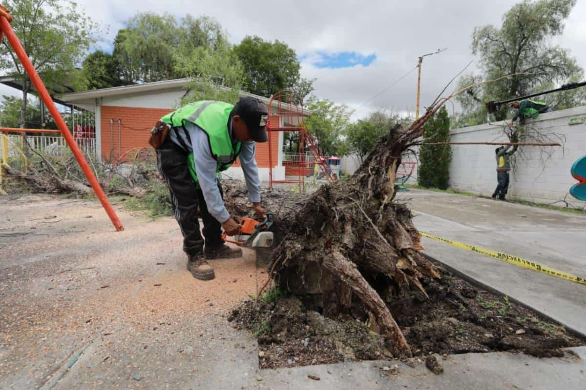 Saltillo responde a lluvias coordinando limpieza y desazolve