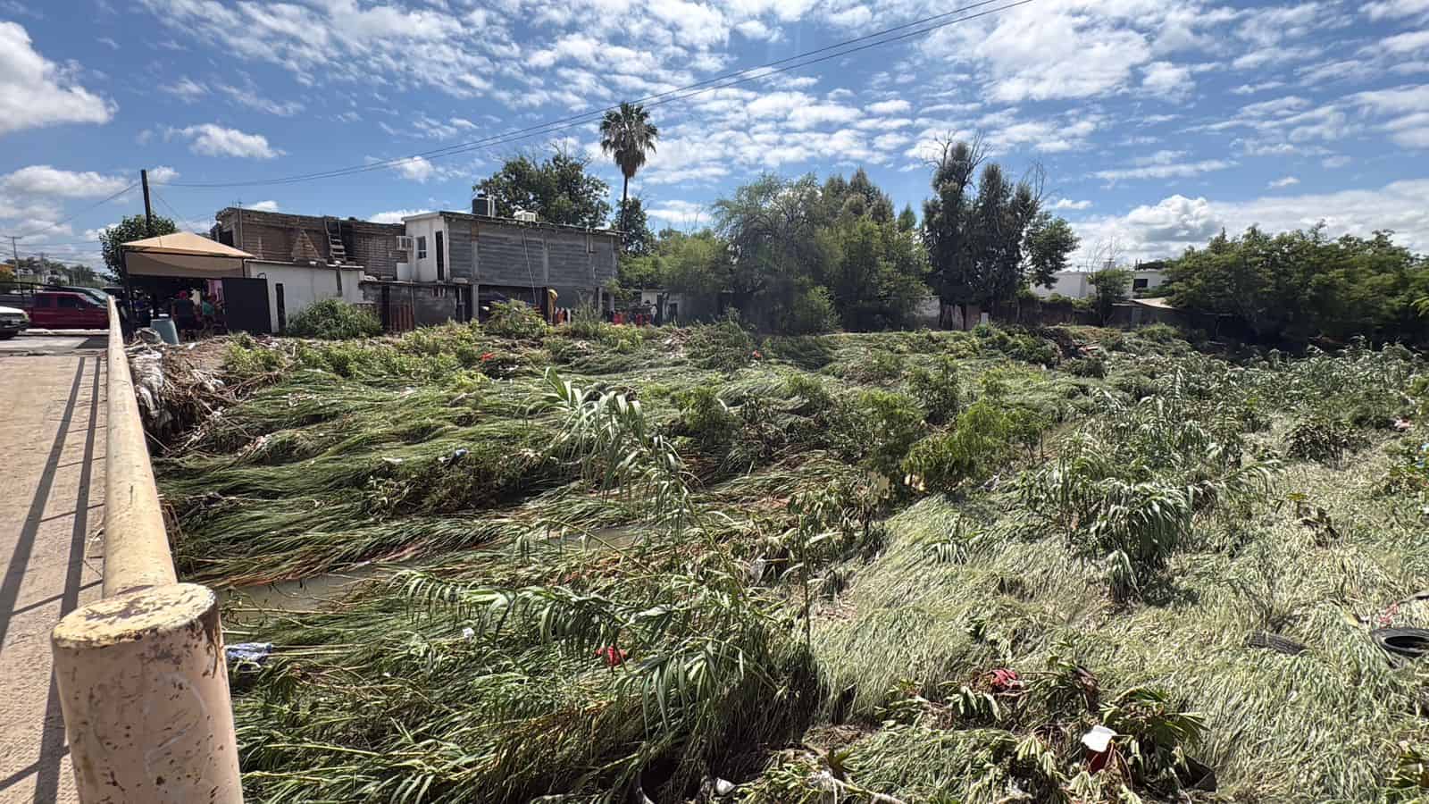 Frontera endurece sanciones por arrojar basura en el arroyo