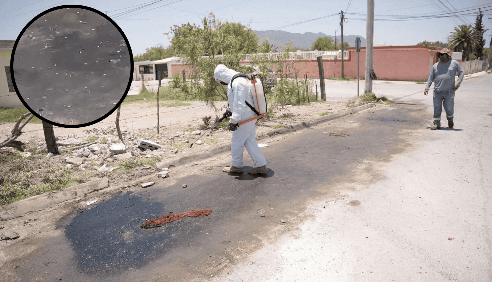 Gusanos invaden la calle Pino Su&aacute;rez en Colonia Libertad de Casta&ntilde;os