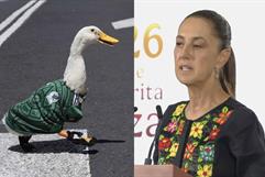 Pato Merlín llegará a la mañanera de Sheinbaum y desata debate en redes sociales
