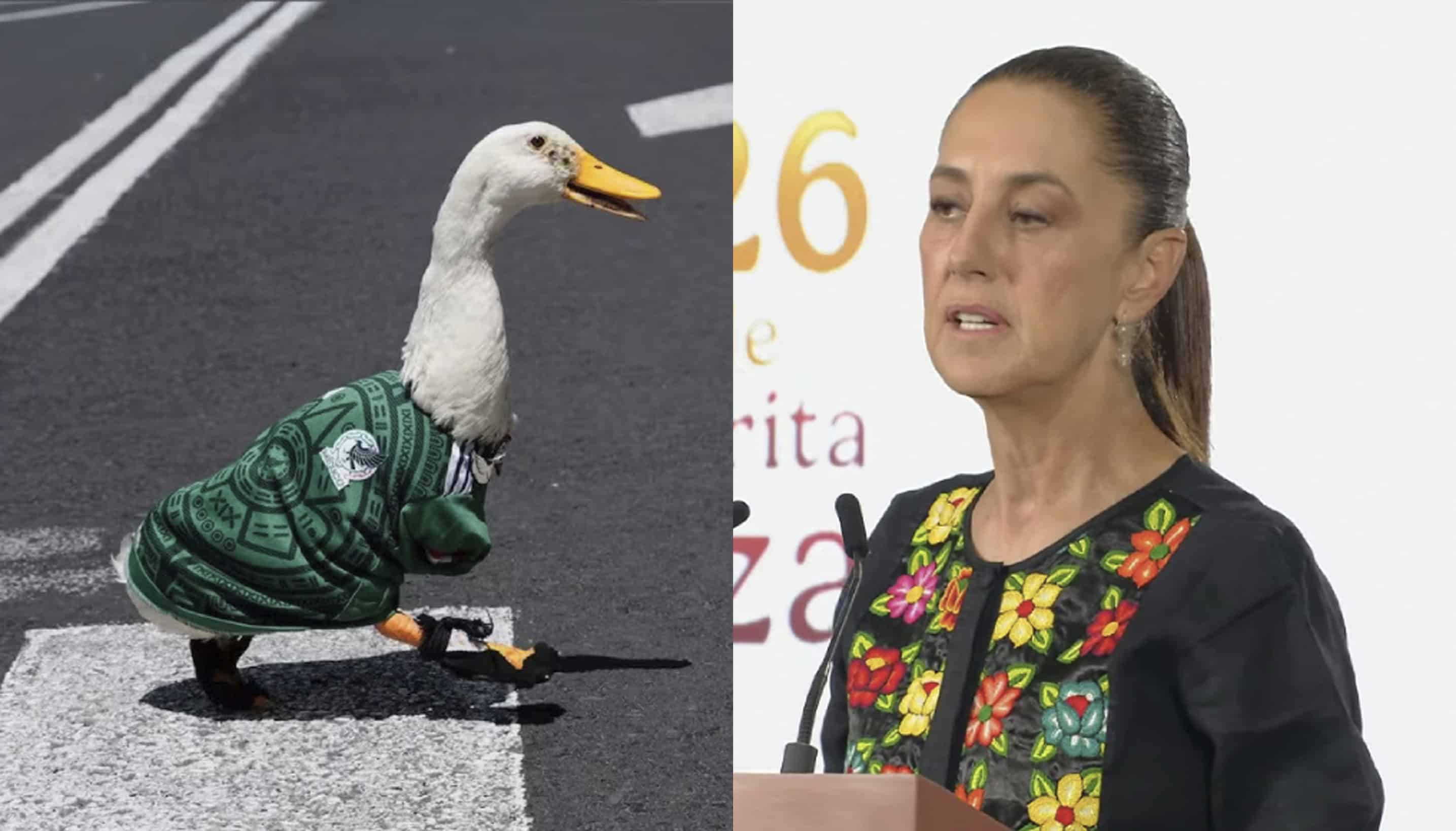 Pato Merl&iacute;n llegar&aacute; a la ma&ntilde;anera de Sheinbaum y desata debate en redes sociales