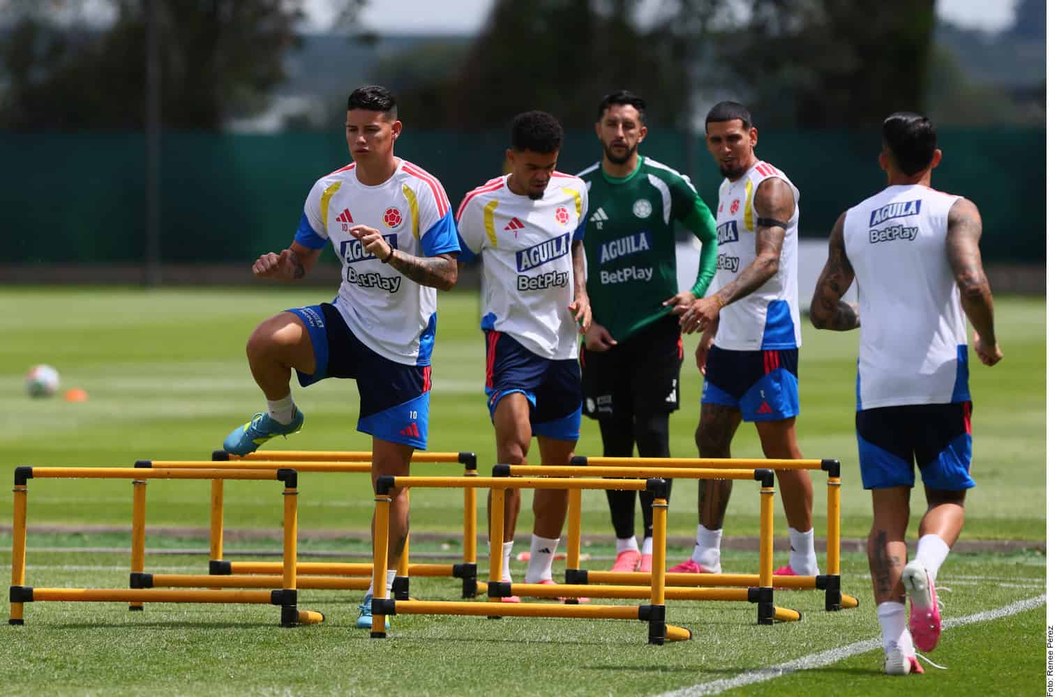 Colombia entrena en Guadalajara para enfrentar a Rep&uacute;blica Democr&aacute;tica del Congo
