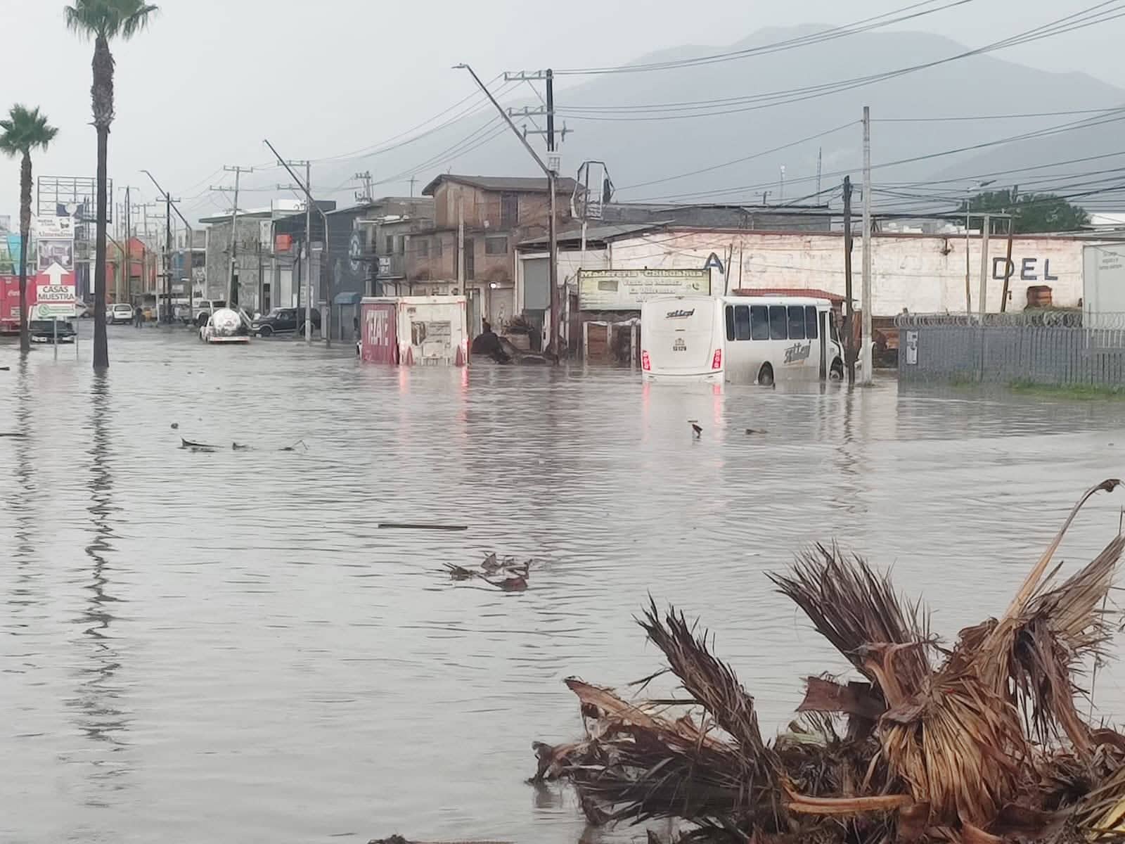Deja tormenta m&uacute;ltiples afectaciones en Saltillo