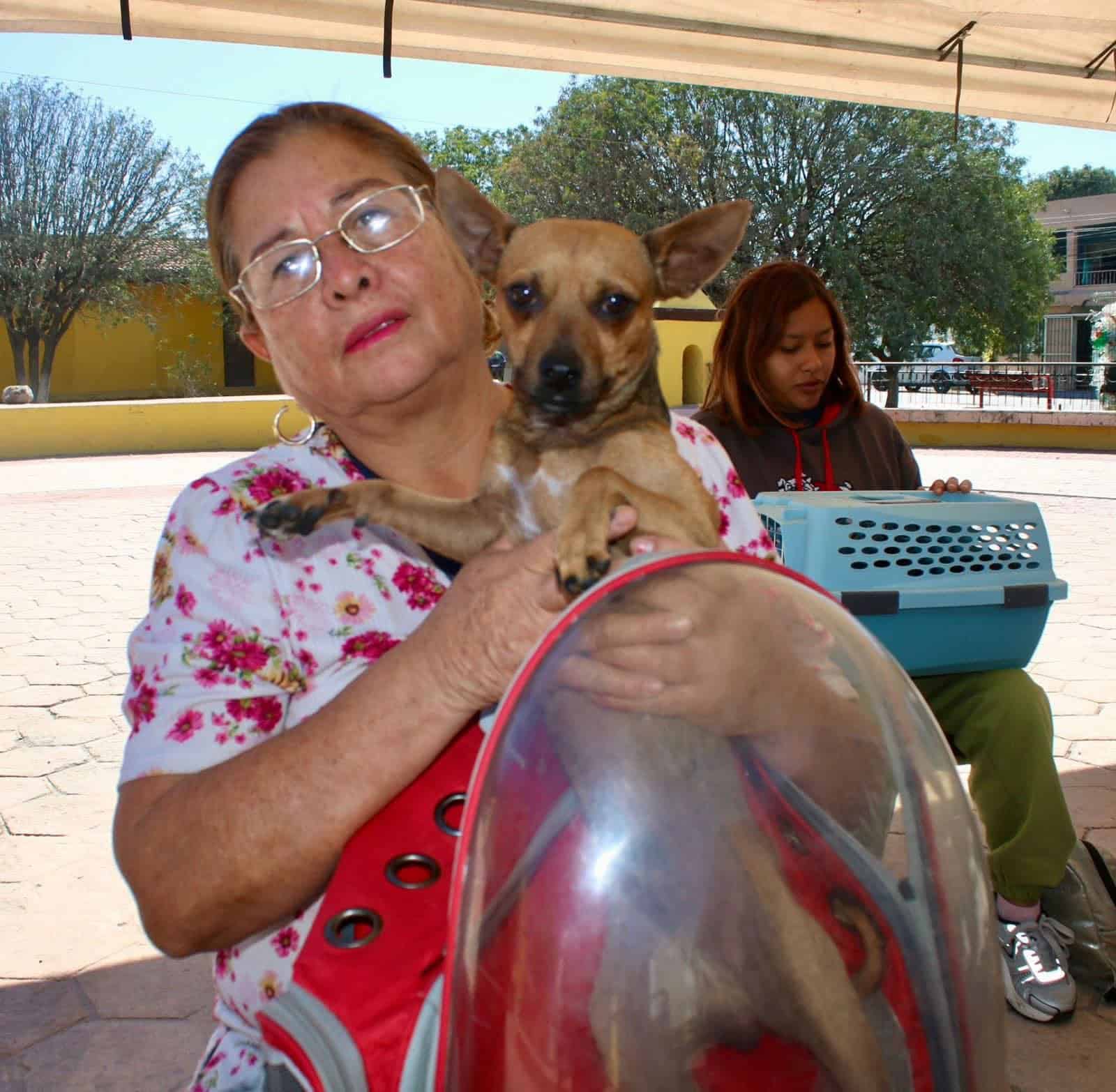 Impulsar&aacute; Saltillo adopci&oacute;n de perros