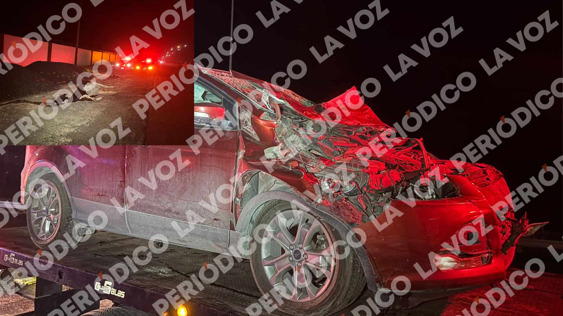 Se impacta contra vaca y su cr&iacute;a en la carretera 57
