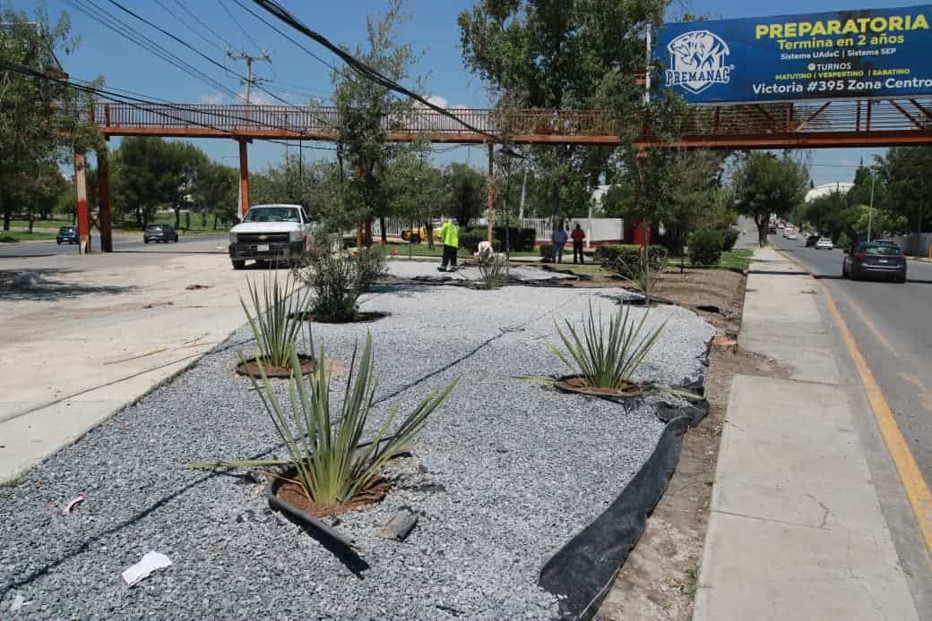 Saltillo intensifica limpieza y embellecimiento: Javier D&iacute;az Gonz&aacute;lez lidera acciones