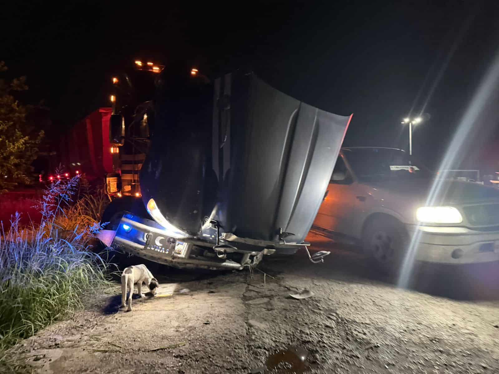 Choca tr&aacute;iler y cae de puente