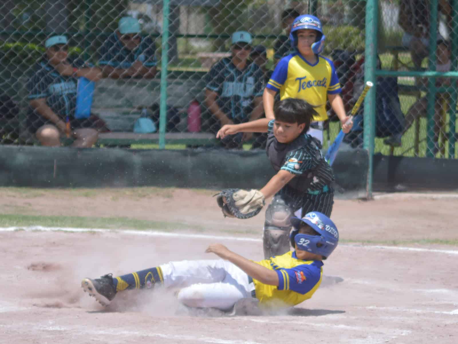 El superl&iacute;der est&aacute; en la final; Aguilas eliminan a Bravos