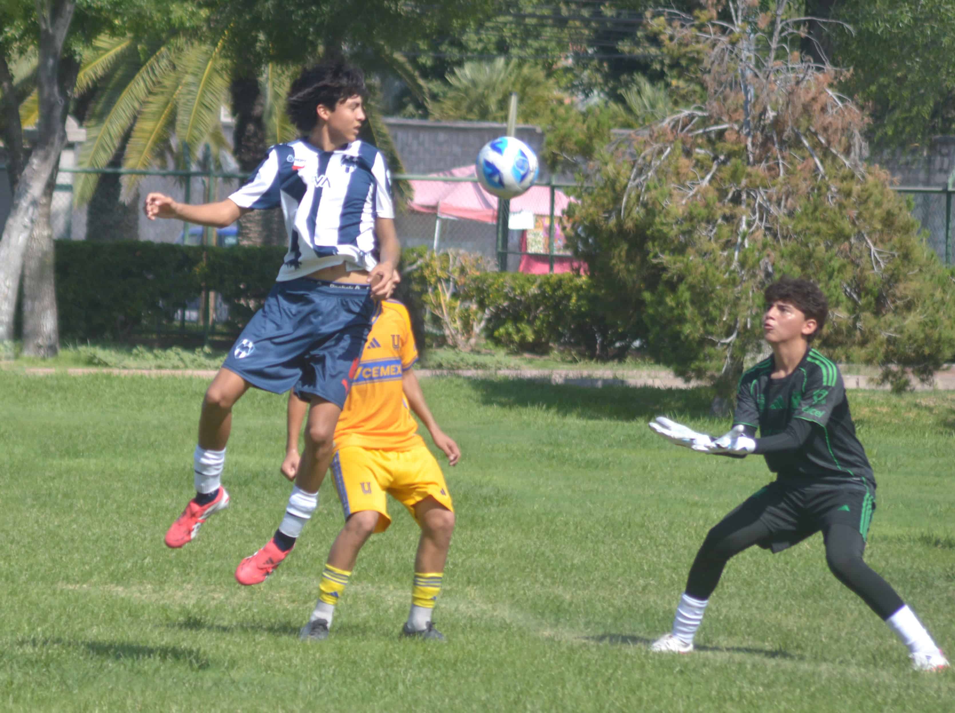 Tigres se corona campe&oacute;n Juvenil B: victoria sobre Rayados 11