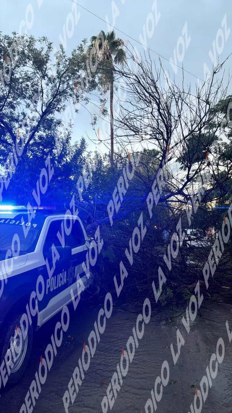 Operativo de emergencia en Frontera por fuertes lluvias y afectaciones