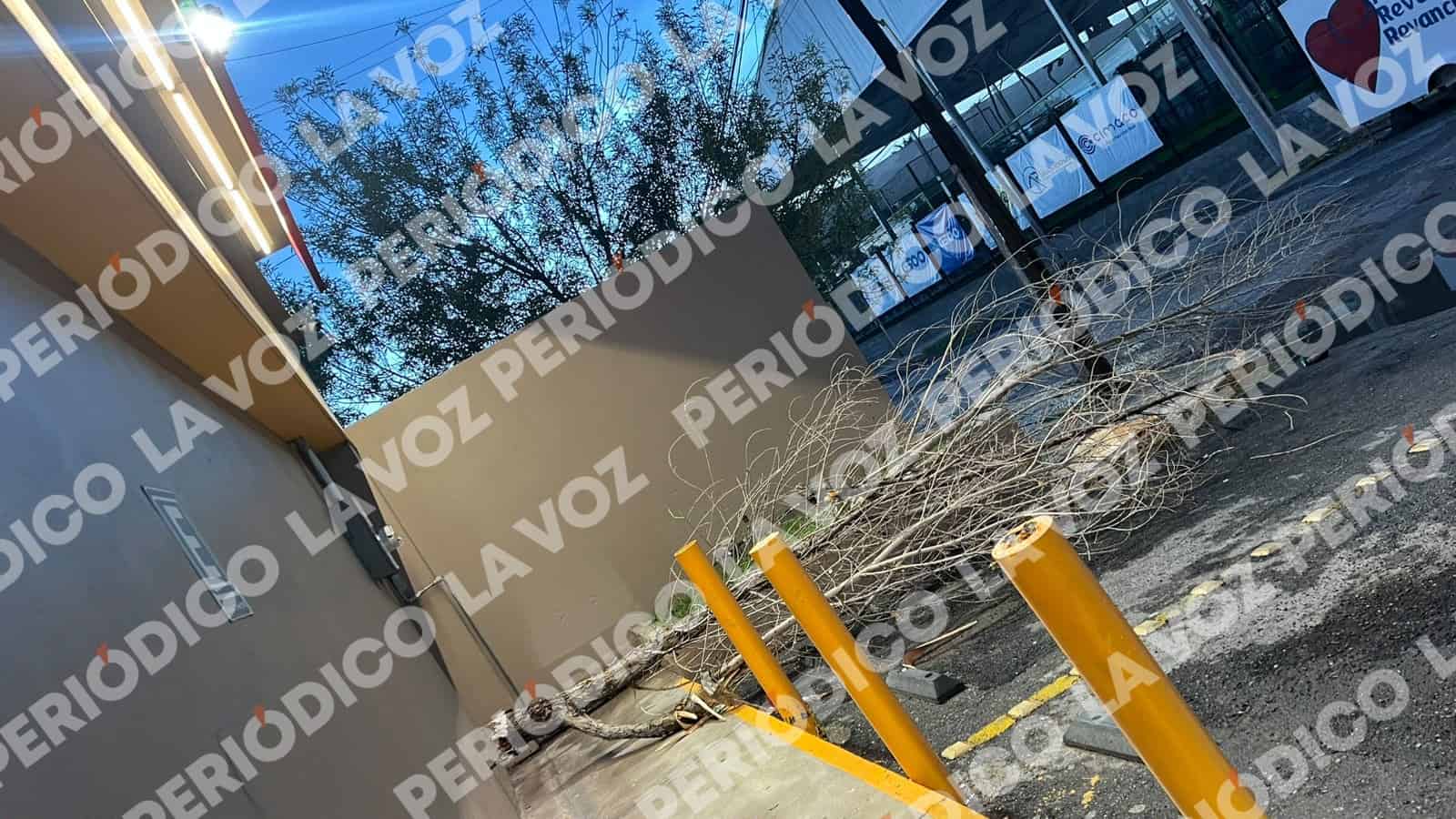 Viento derriba anuncios y daña vehículos Viento derriba anuncios y daña vehículos