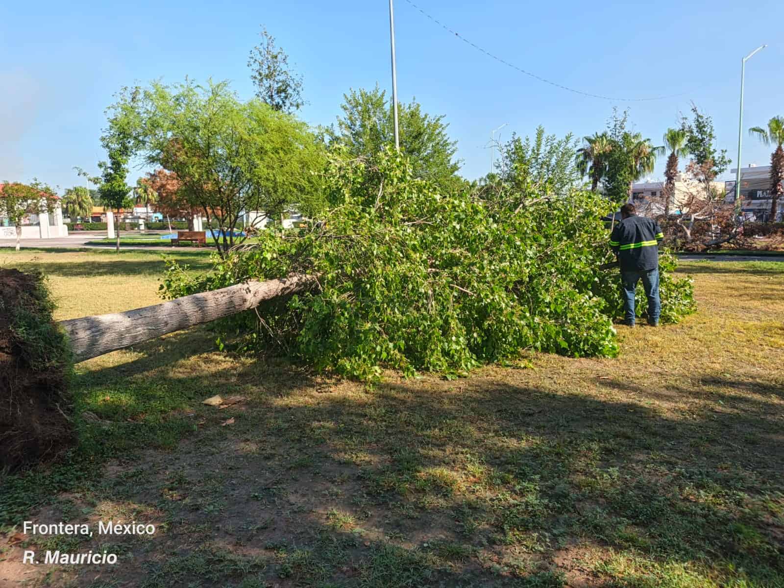 Gobierno Municipal de Frontera atiende da&ntilde;os tras tormenta: operativo en marcha
