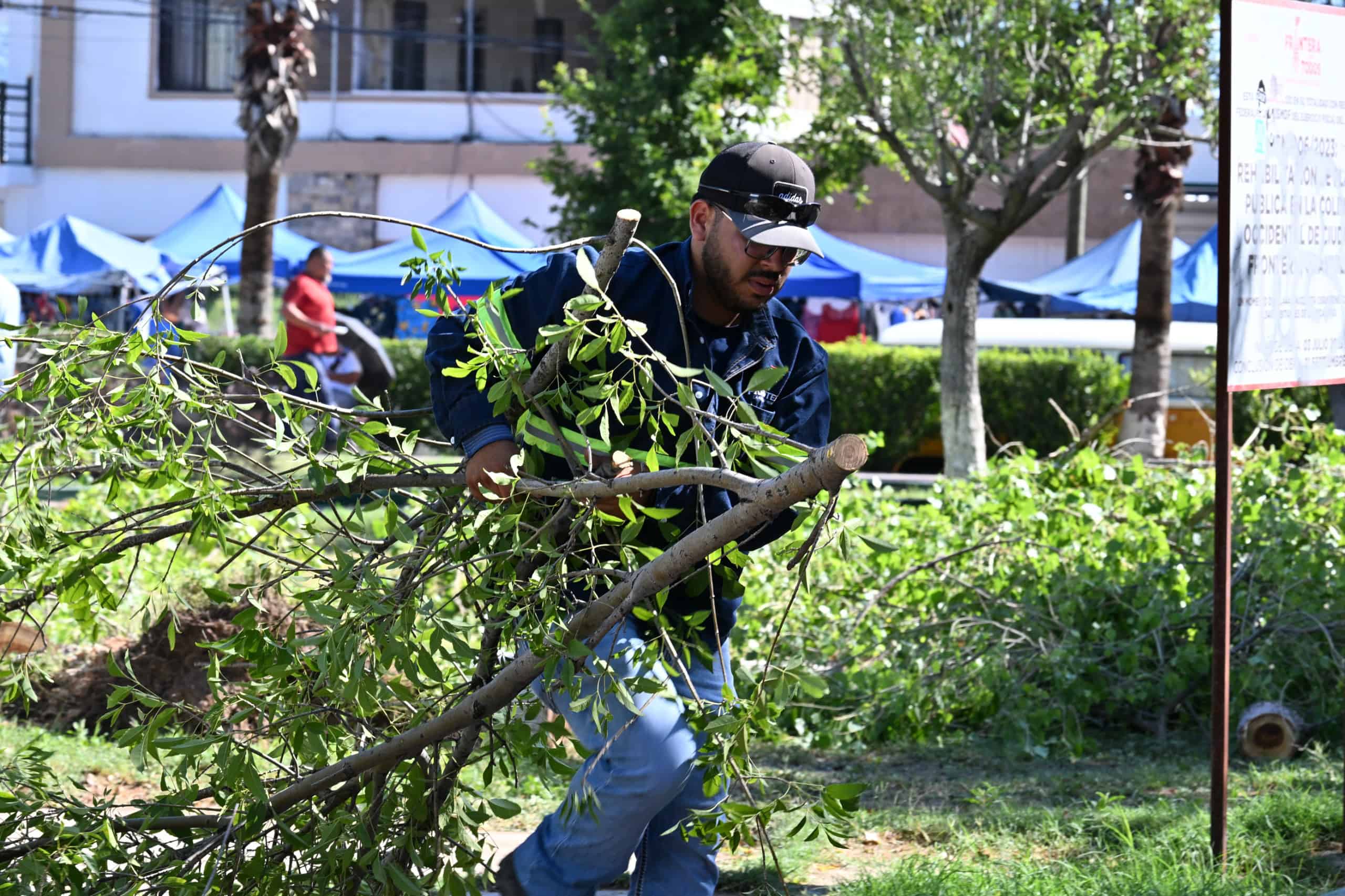 Gobierno Municipal de Frontera atiende da&ntilde;os tras tormenta: operativo en marcha