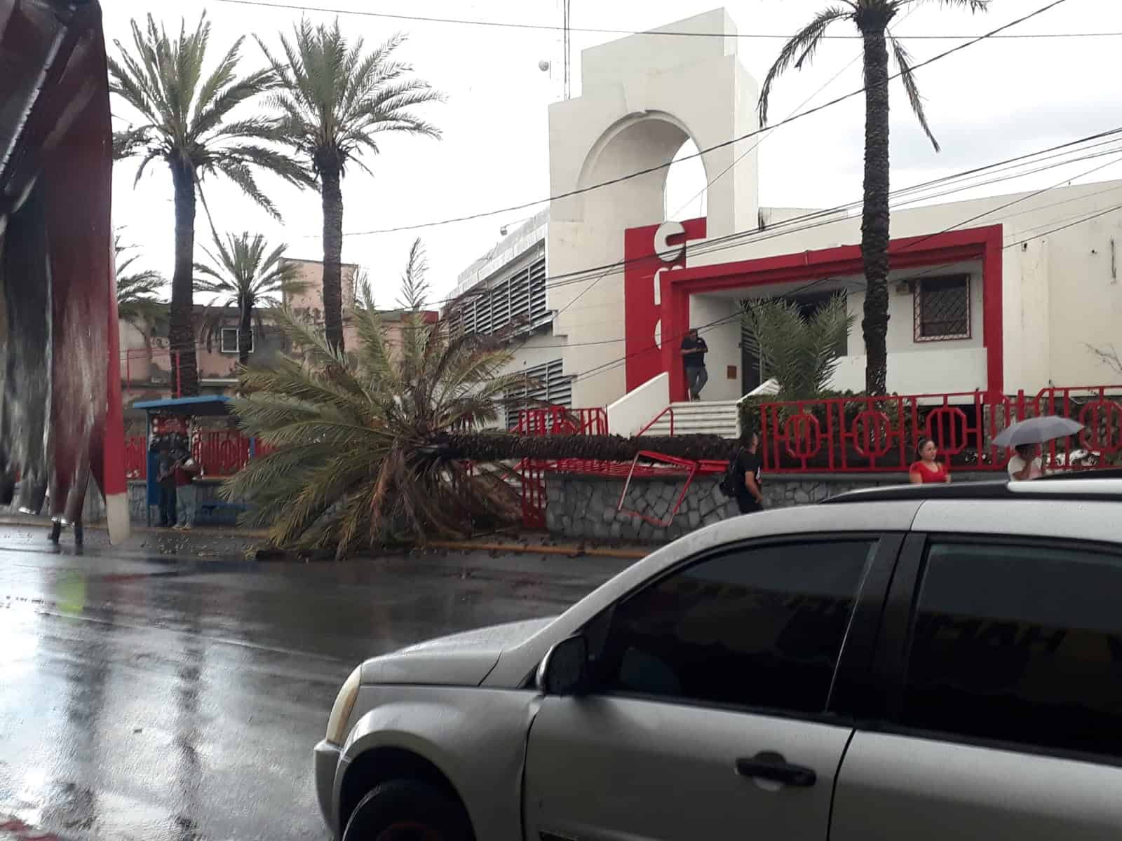 Humberto Prado informa sobre daños en CMIC tras caída de palma