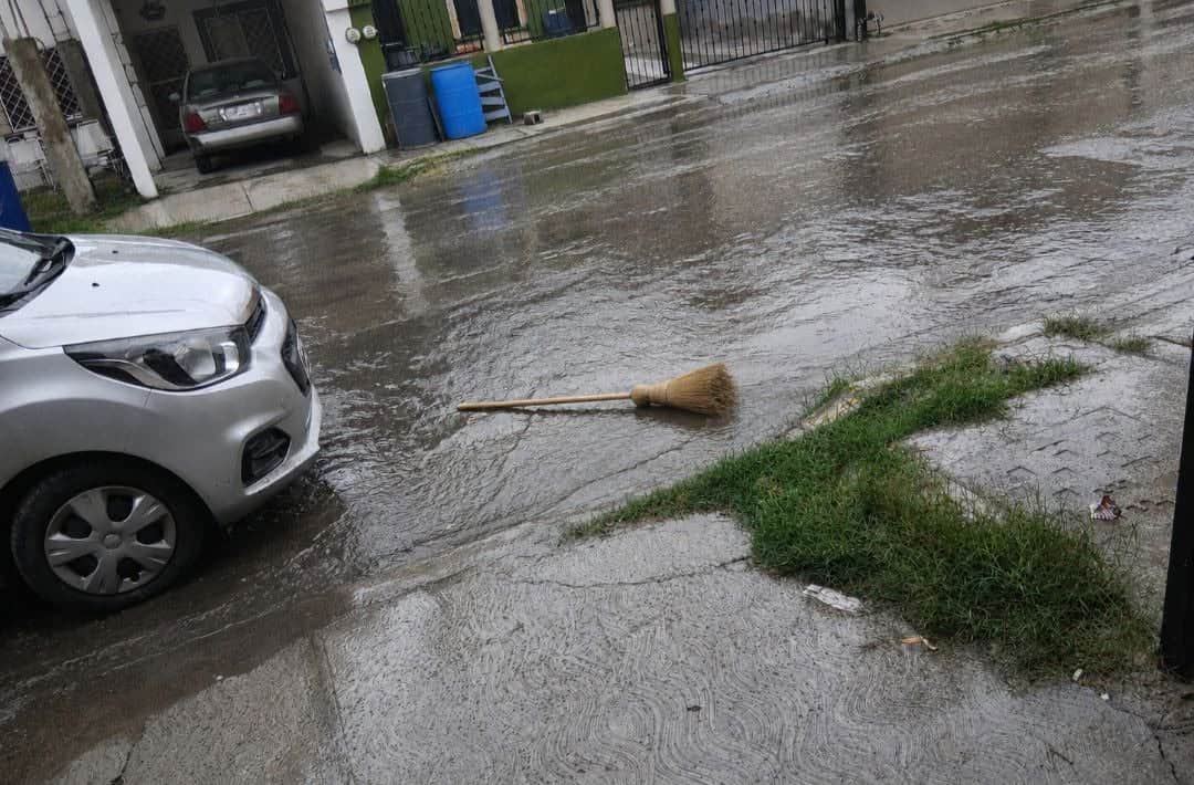 Comerciante forrajera se vuelve viral tras lluvia