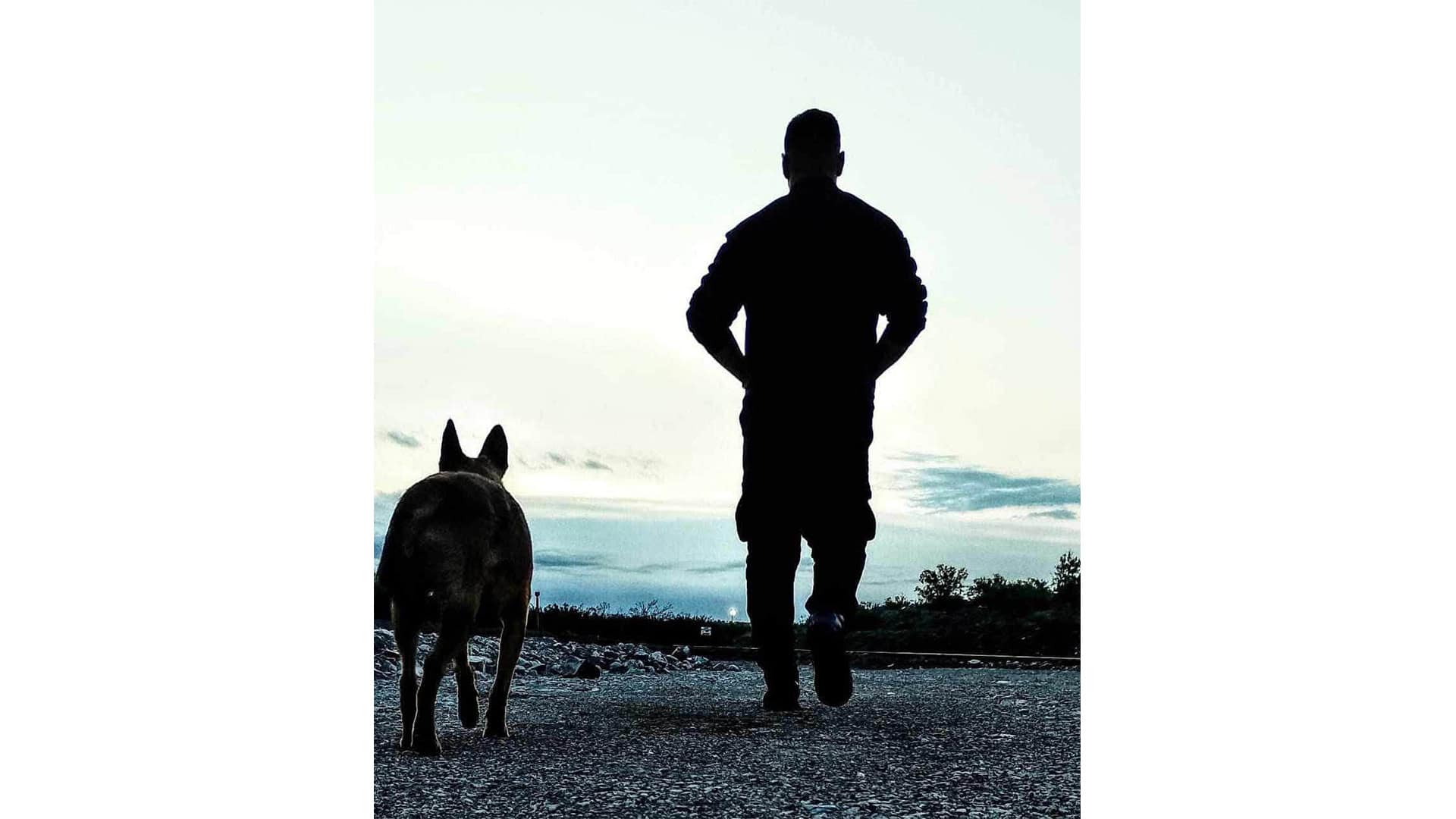 Guardias de seguridad aclaran que Mencho fue atropellado