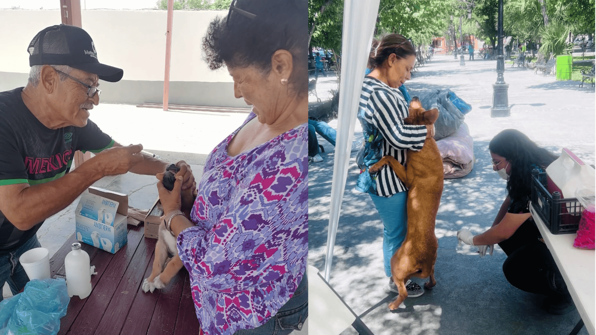 No se tienen reportes de picaduras de garrapata en el municipio.