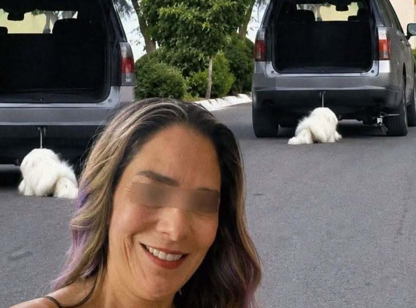 Detienen a mujer por maltrato a Rocky en Saltillo