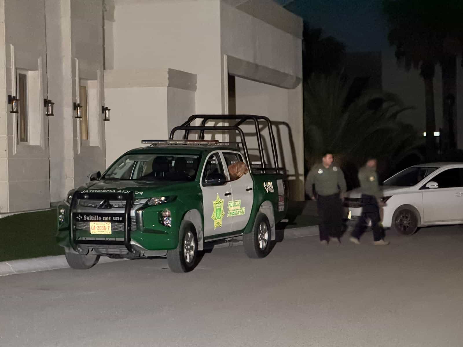 Cae pareja por caso Rocky; indagan maltrato
