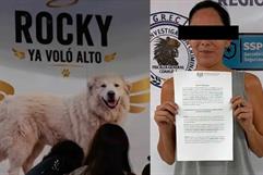 Prisión preventiva para Liliana “N” por la muerte de Rocky en Saltillo Prisión preventiva para Liliana “N” por la muerte de Rocky en Saltillo