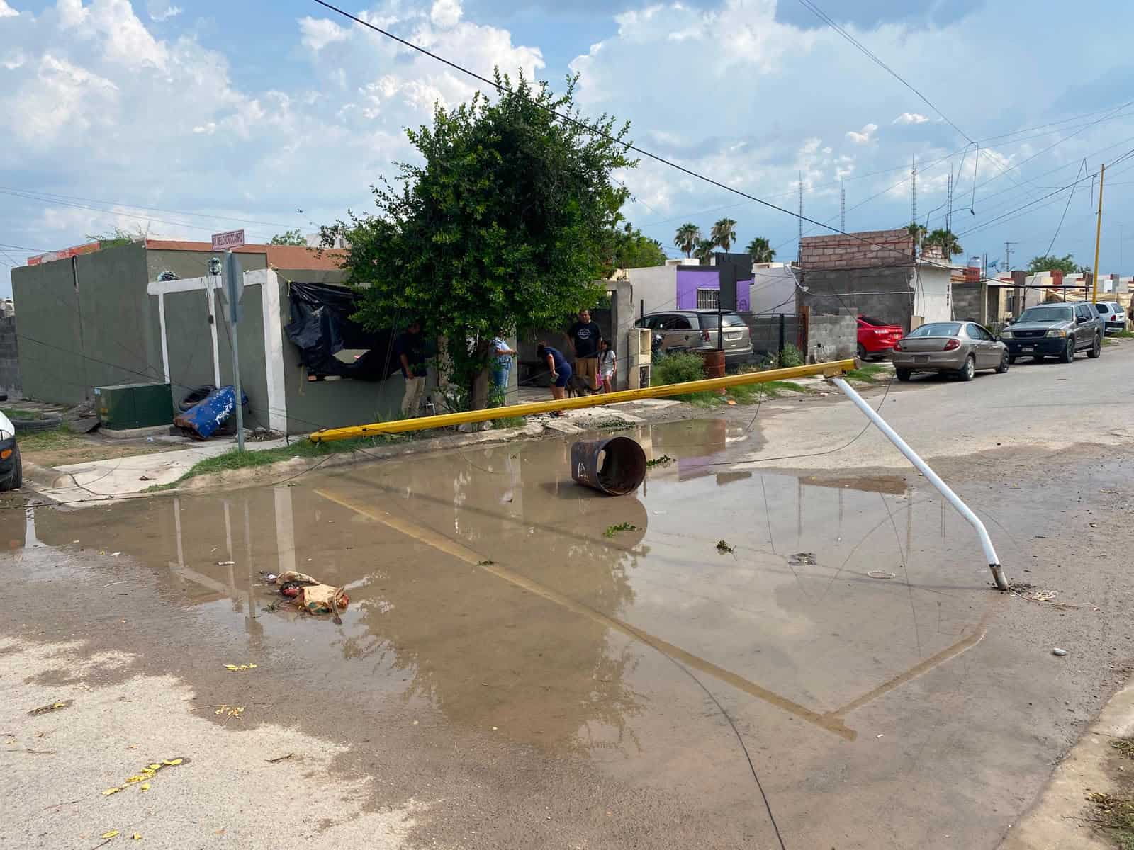 Da&ntilde;os en Sabinas por tromba: caen &aacute;rboles y postes en diversas colonias