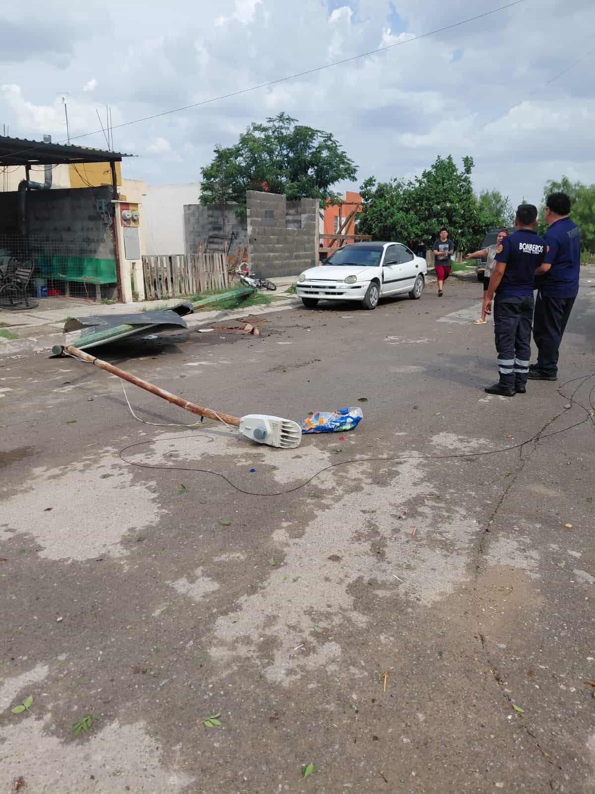 Da&ntilde;os en Sabinas por tromba: caen &aacute;rboles y postes en diversas colonias
