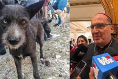 Obispo Hilario González promueve el cuidado de mascotas en Saltillo Obispo Hilario González promueve el cuidado de mascotas en Saltillo