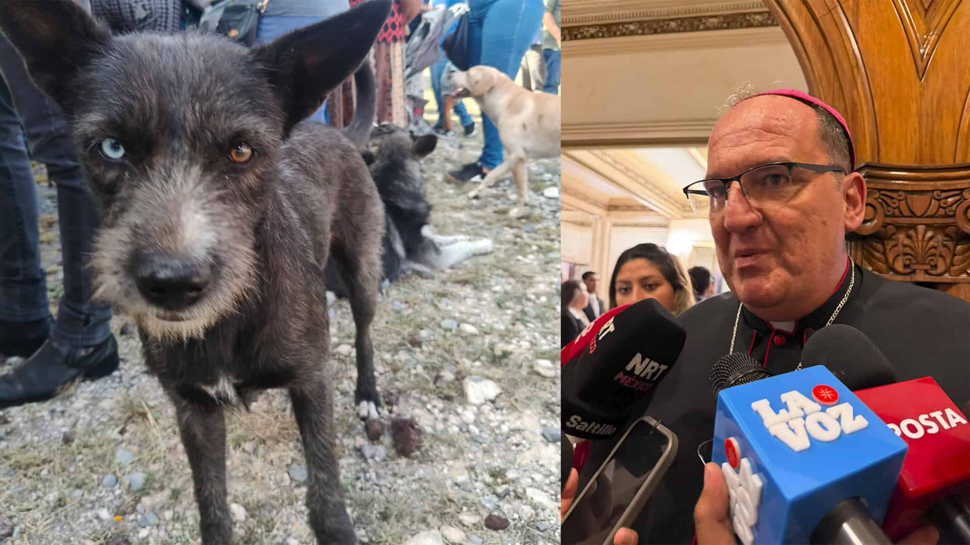 Obispo Hilario Gonz&aacute;lez promueve el cuidado de mascotas en Saltillo