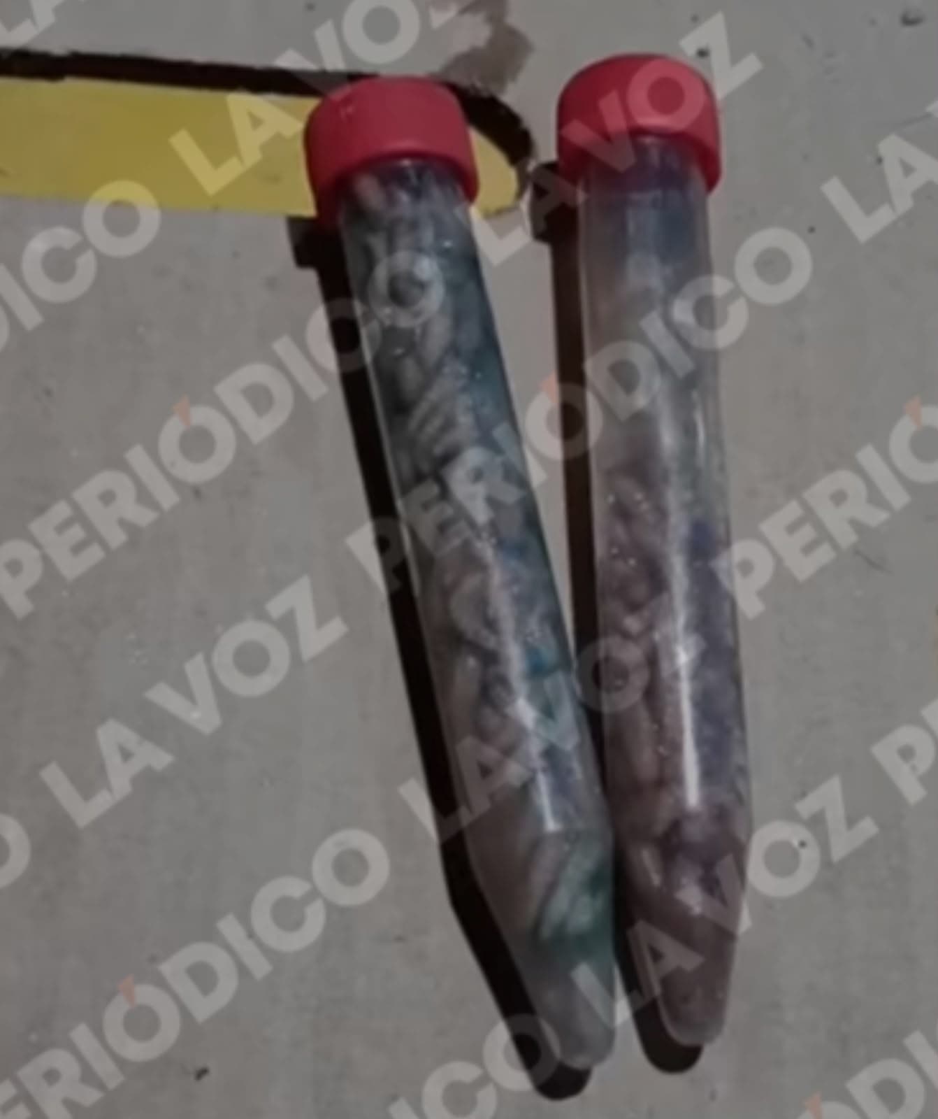 Reportan posible gusano barrenador en perro en M&uacute;zquiz