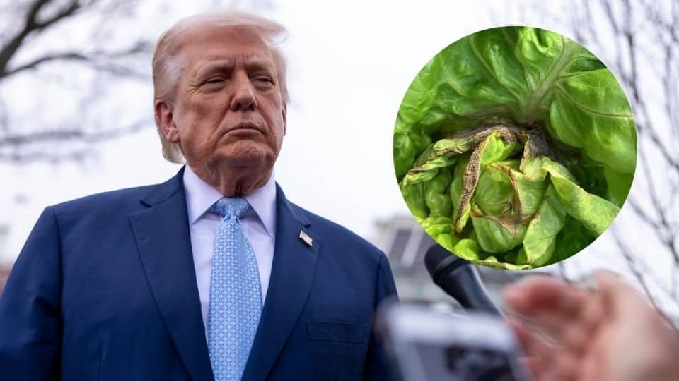 Donald Trump advierte sobre gravamen a importaciones de M&eacute;xico: lechuga en la mira