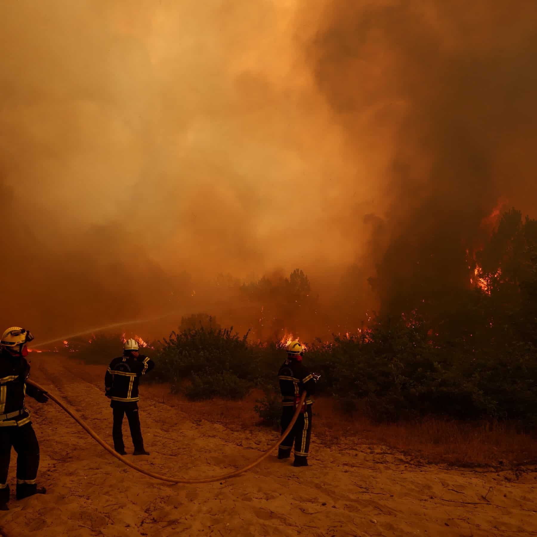 Crisis de incendios en Francia y Espa&ntilde;a: el cambio clim&aacute;tico agrava la situaci&oacute;n