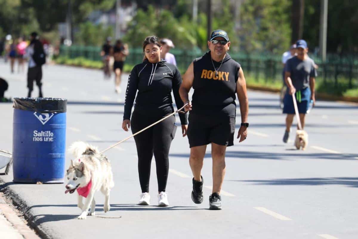 Disfrutan familias Ruta Recreativa