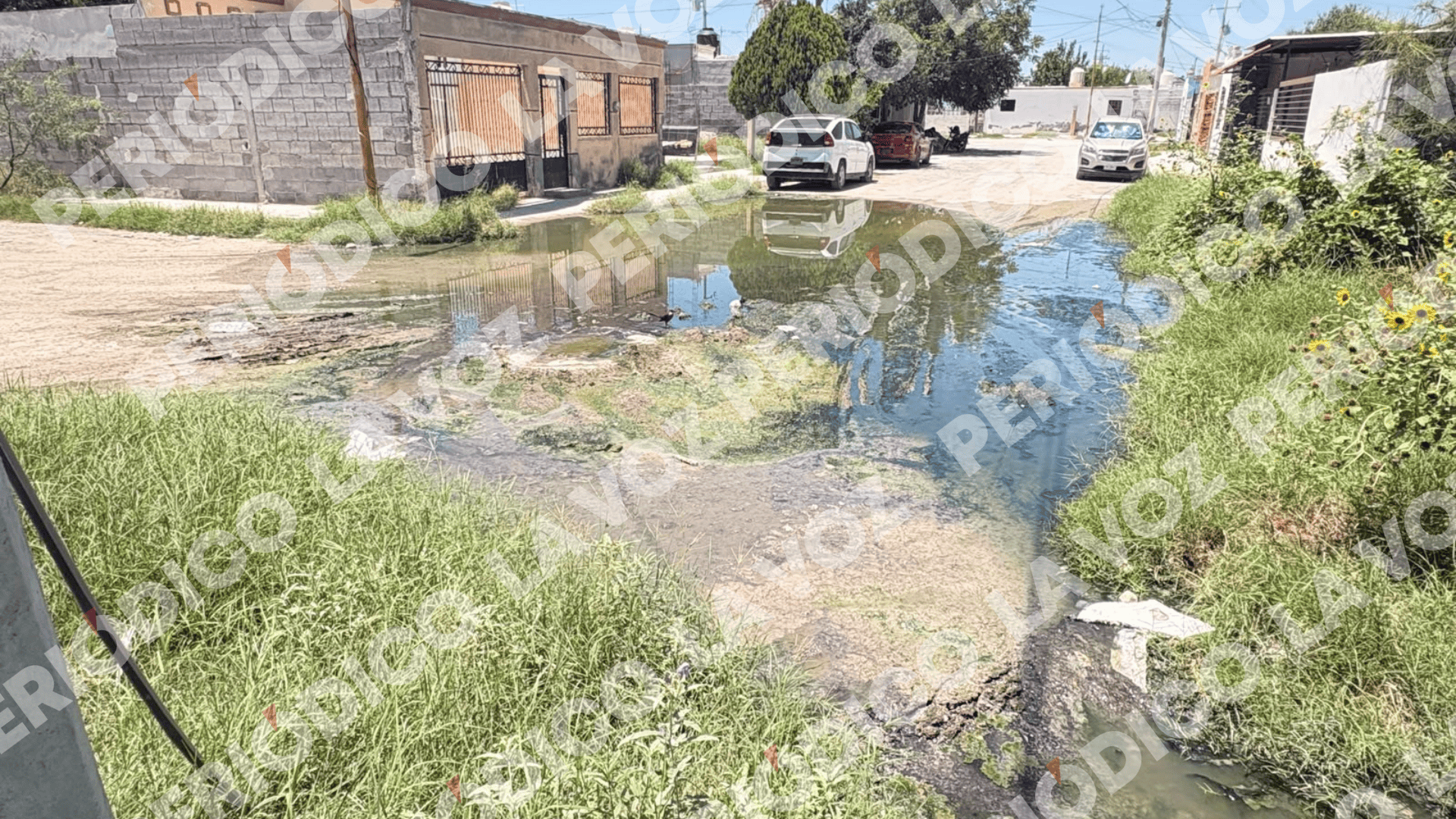 Drenaje en San Crist&oacute;bal provoca malestares y malos olores