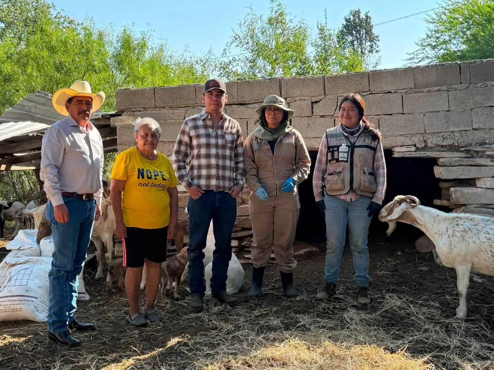Refuerzan acciones contra el gusano barrenador en el ejido Santa Ana