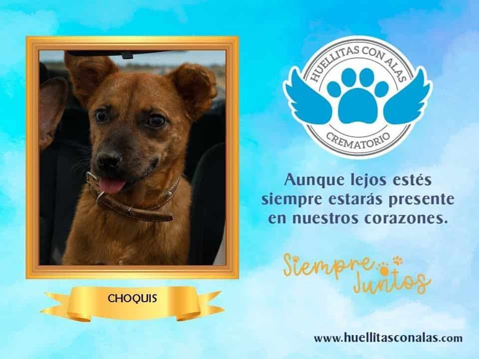 Oralia Castillo lamenta muerte de Choquis en Monclova