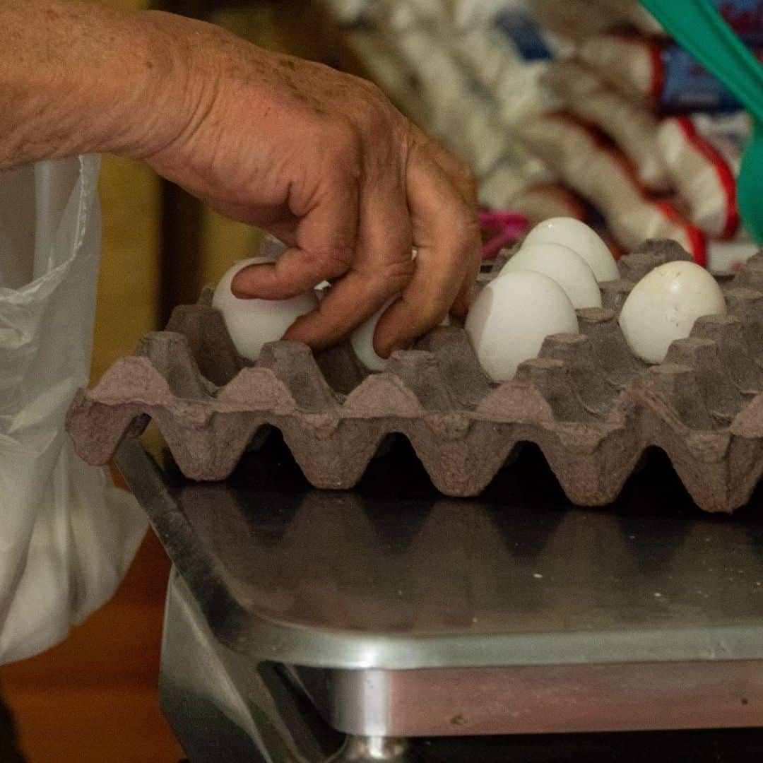 Brote de salmonella en huevos en Estados Unidos genera alerta en México