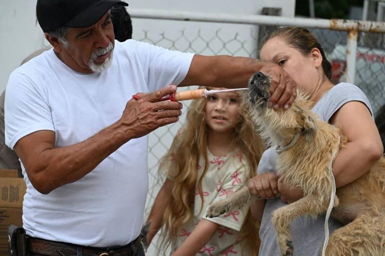 Placeholder Placeholder