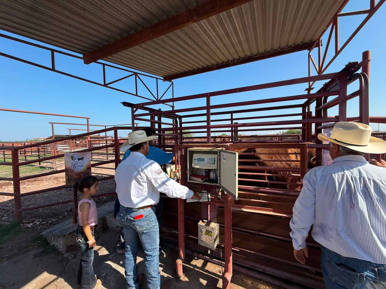 Ganaderos de M&uacute;zquiz se preparan para reanudar exportaciones de ganado