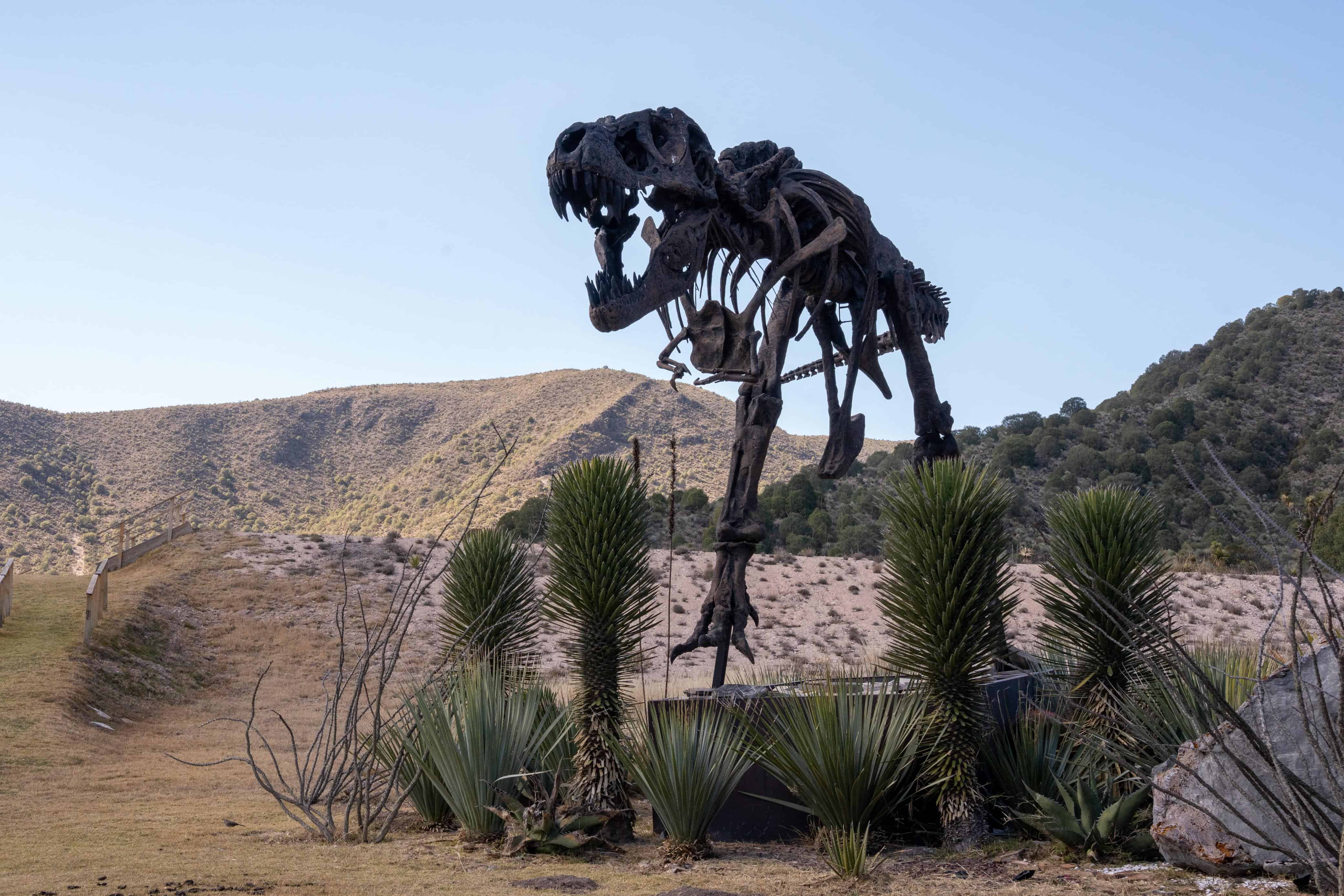 Con sus 8 Pueblos M&aacute;gicos, Coahuila sorprende con experiencias &uacute;nicas