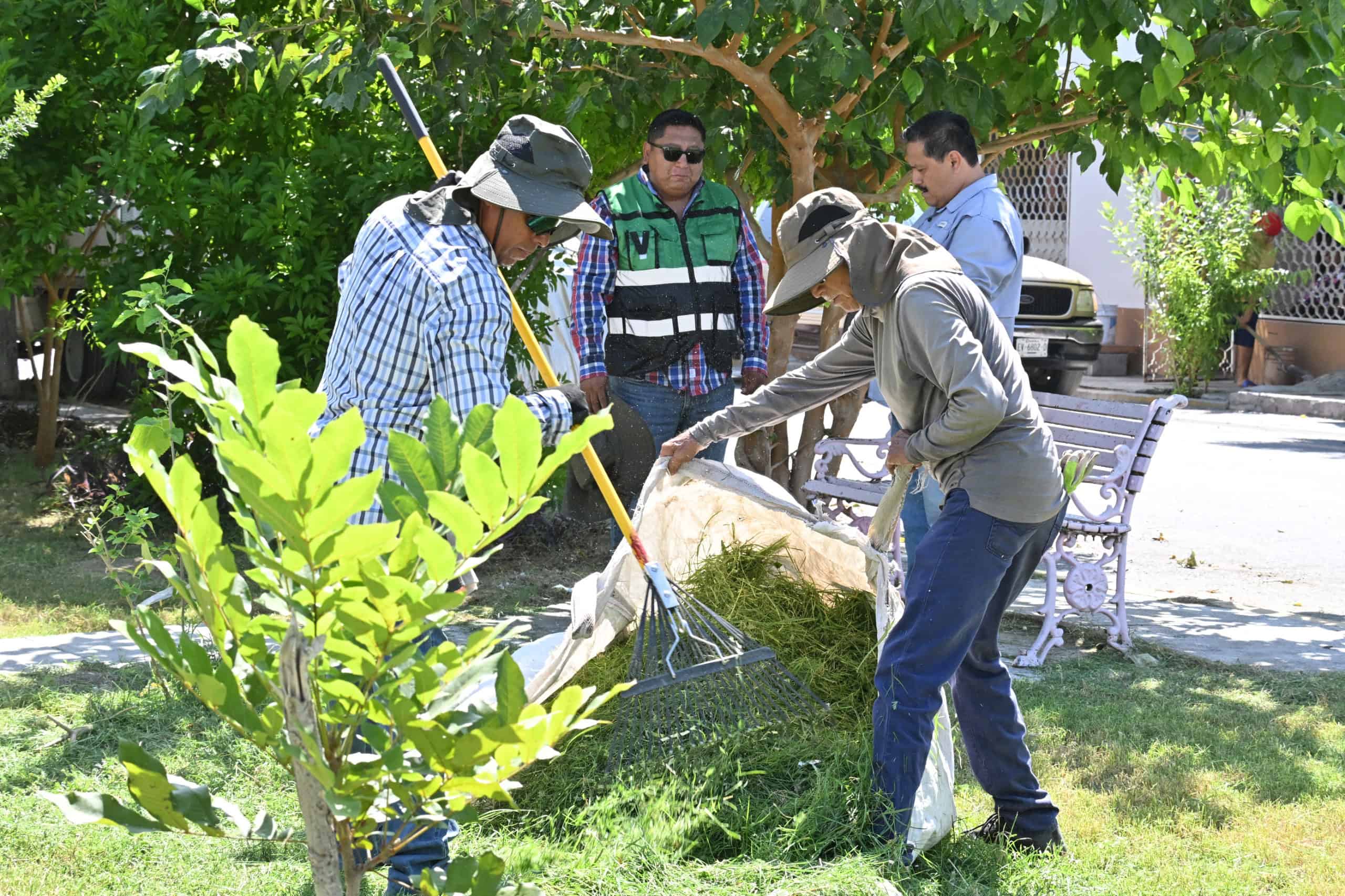 Sari Pérez Cantú impulsa limpieza y bacheo en Frontera