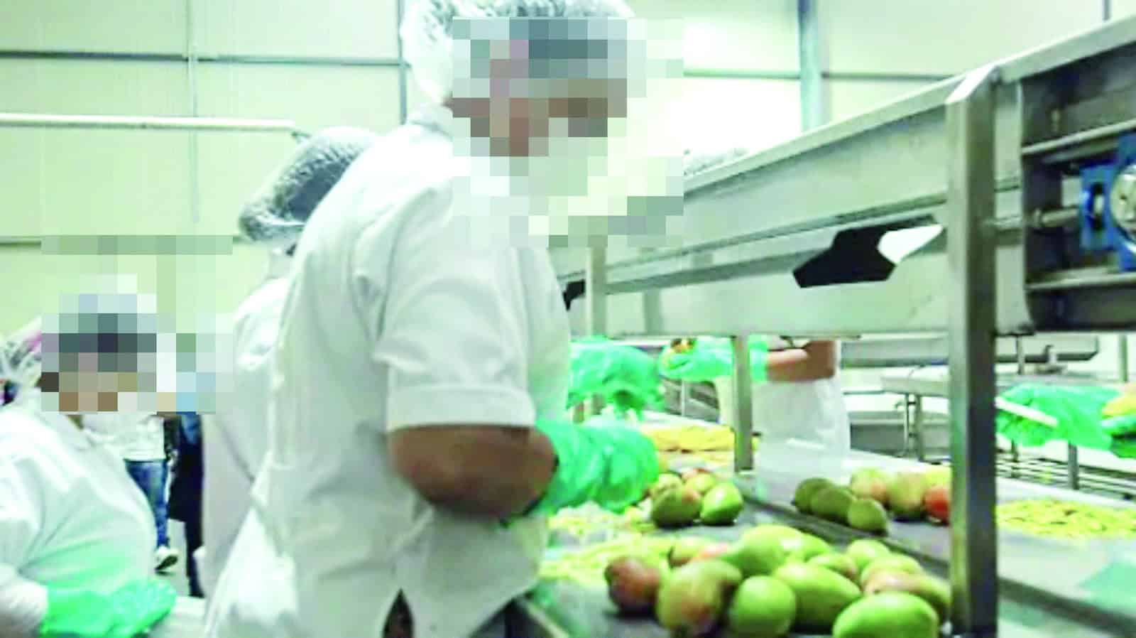 Autoridades de Sabinas advierten a empresa procesadora de aguacate por olores