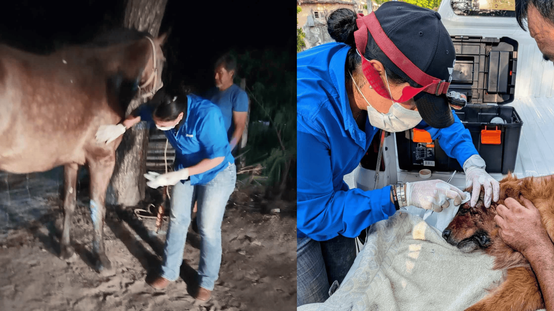 Nueva coordinadora de Sanidad Animal: Julisa Guti&eacute;rrez en Cuatro Ci&eacute;negas
