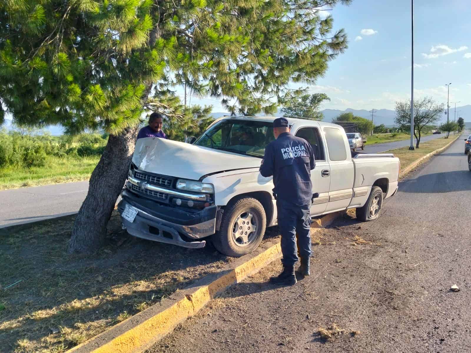 Esquiva automóvil y choca contra árbol Esquiva automóvil y choca contra árbol