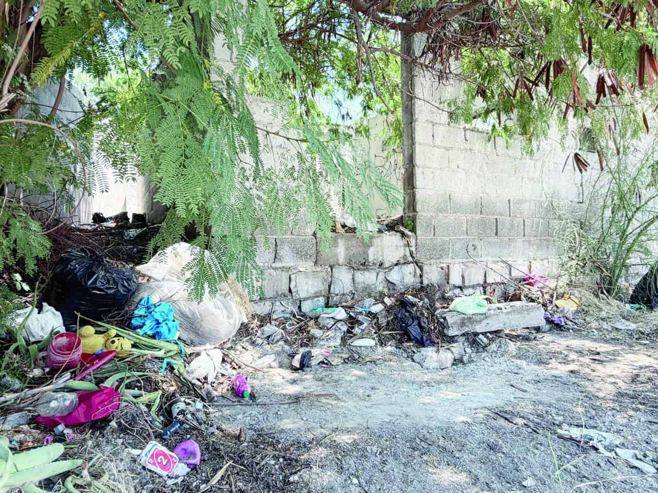 Coahuila: Servicios Primarios identifican 18 predios bald&iacute;os abandonados